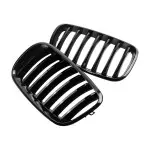 Kidney Grille for BMW E70 X5 / E71 X6, glossy black