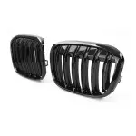Performance kidney grill for BMW F48 X1 (15-19)