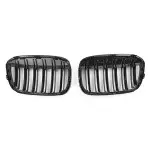 Performance kidney grill for BMW F48 X1 (15-19)