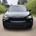 Performance kidney grill for BMW F48 X1 (15-19)