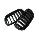 Kidney Grille for BMW F15 X5 / F16 X6, glossy black